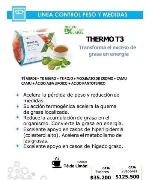 Thermo T3